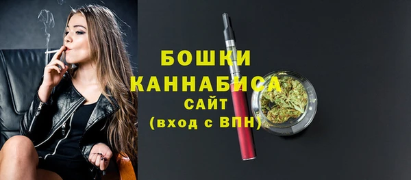 мет Гусев
