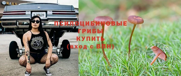 молекула духа Гусь-Хрустальный