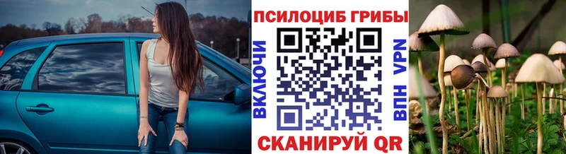 Галлюциногенные грибы GOLDEN TEACHER Власиха